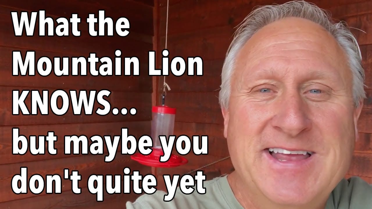 What the Mountain Lion KNOWS…but maybe you don’t quite yet