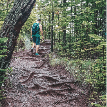 Masculine Confidence Course 5 Confidence Course Image Of Man Hiking
