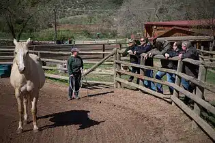 Goodguys2Greatmen 2025 Men's Retreat Schedule 9 gallery img 6